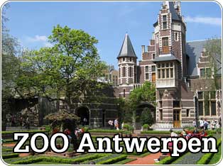 Antwerpen Zoo